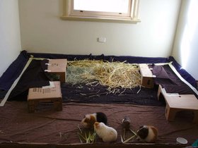 2018-06-10 Missy, Jess, Charlotte, Zoe (c) Jason Grossman.jpg